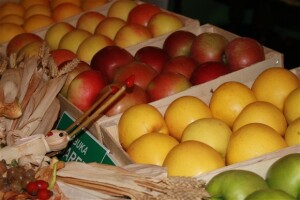 Dani jabuka, Požega 2009