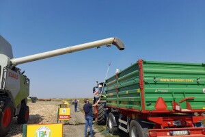 Dan polja BC hibrida kukuruza i javna berba na pokušalištu FAZOS-a