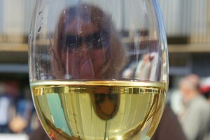 8. Dani vina, turizma i cikloturizma!