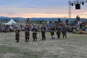 Dani vitezova vranskih 2015.