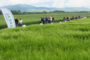 Axereal: Dan polja pivarskog ječma