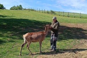 Darko Zovko, uzgoj divljači i lovni turizam