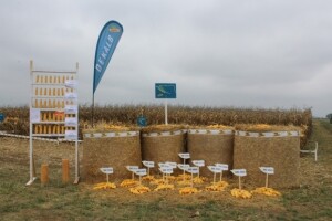 DEKALB Inovativni centar, Brođanci