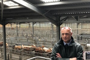 Dingwall & Highland Marts, Dingwall, Škotska