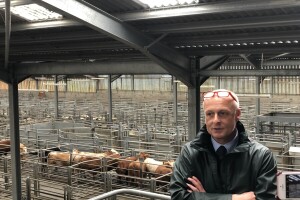 Dingwall & Highland Marts, Dingwall, Škotska