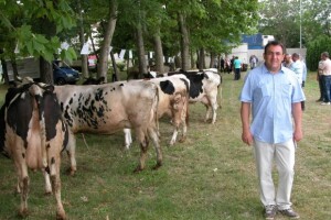 U subotu (20. lipnja) održana 10. županijska izložba stoke Sinj 2015