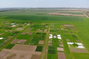 Međunarodno takmičenje u uzgoju ozime pšenice DLG-Feldtage