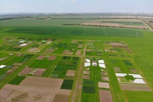 Međunarodno natjecanje u uzgoju ozime pšenice DLG-Feldtage