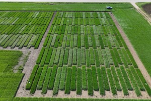 NET4DINAR Završnica