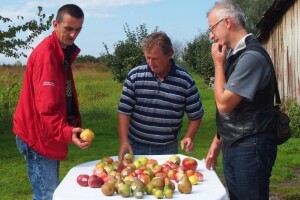 Obitelj Đorđa Dokmanovića