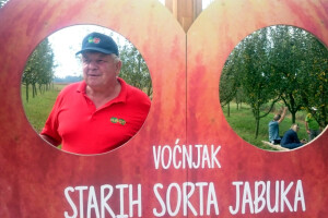 Stare sorte jabuka OPG Dobranić