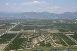 Dolina Neretve i ozračene mušice