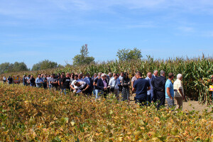 Bc Institut - Dan polja BC kukuruza i soje