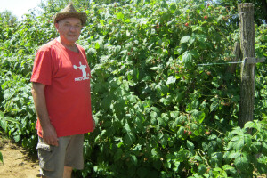 Dragan Spasić novu zaradu pronašao u proizvodnji maline