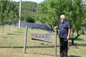 Dalmatinski bademi na udaru paklenih vrućina