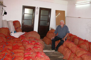 Bademi u dalmatinskom zaobalju (Cetinskom kraju)