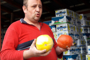 Zvonko Rohalj iz Drenovaca uspješno se bavi uzgojem tikve