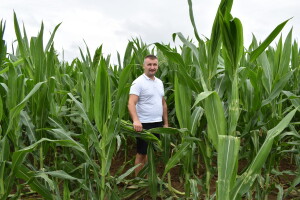 OPG Živković Mario