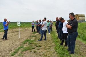 Syngenta lokalni dan polja u Krndiji