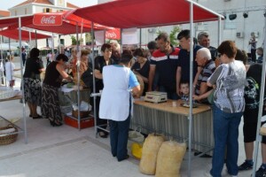 Festival sira u Drnišu