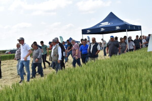 Bayer AGROFEST 2023.