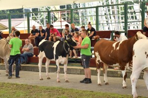 Otvoren sajam AGRA 2021 u Gornjoj Radgoni