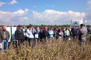 Pioneer predstavio sorte soje