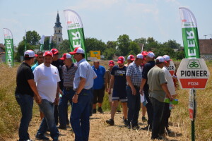 Dan polja uljane repice u Vrpolju - Pioneer