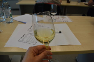 Novinarski vinski ocjenjivački tim ocijenio 18 graševina