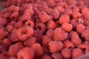 Maline sa Limanske pijace