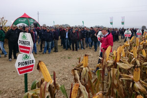 Dan Pioneera u Lipiku