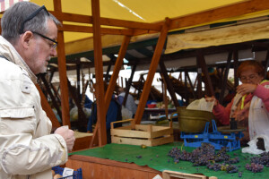 Zadarska tržnica u podne