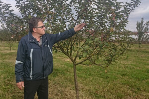 OPG Romanić iz Medara