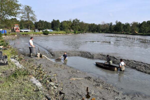 Ispuštanje ribnjaka u Jakšiću