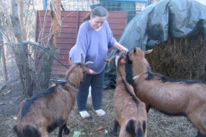 Koze nisu zahtjevne životinje