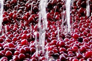 Marinada d.o.o. - revitalizacija proizvodnje u Slavoniji?