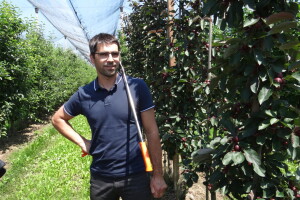 Poljoprivredni Institut Osijek Voćni rasadnik: Dani otvorenih vrata