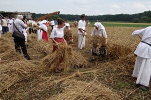 Kruh naš svagdašnji - žetva i vršidba u prošlosti