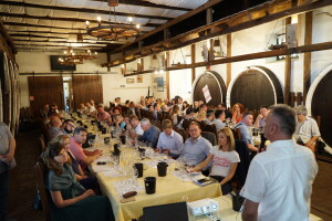 Festival traminca 2019