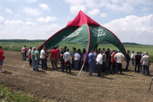 Dan polja uljane repice Pioneer Corteva