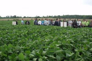 Dunav Soja Dan polja