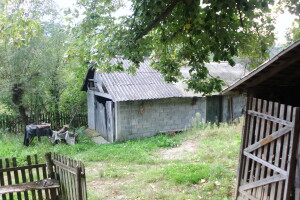 Profesorka ruskog u potrazi za najjednostavnijim načinom proizvodnje povrća