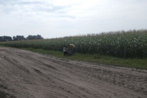 Pjeskovito tlo u Mađarskoj