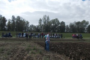 Oprisavci na poljima