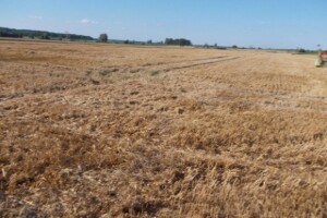 Integrirana ratarska proizvodnja