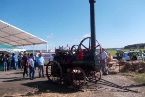 Poljo oldtimeri