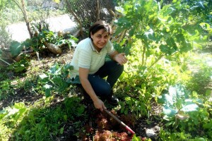 Mozaik raznovrsnih biljaka i oaza zelenila!