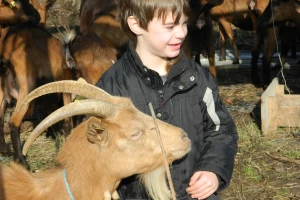 Milutin Jovanović (6) iz Bobova kod Svilajnca najmlađi je pastir u Srbiji