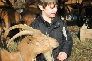 Milutin Jovanović (6) iz Bobova kod Svilajnca najmlađi je pastir u Srbiji