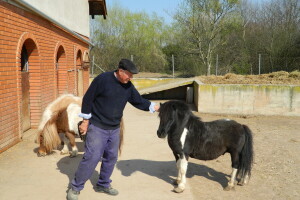 Skup hobi ali pruža zadovoljstvo